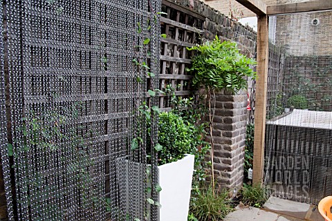 THE_DRAWING_ROOM_GARDEN__URBAN_LONDON_GARDEN__SUPPORTS_FOR_CLIMBING_PLANTS__DESIGNED_BY_EARTH_DESIGN