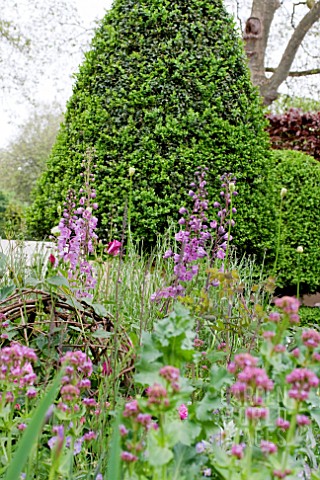 THE_LAURENT_PERRIER_BICENTENARY_GARDEN_DESIGNER_ARNE_MAYNARD_RHS_CHELSEA_FLOWER_SHOW_2012__DELPHINIU