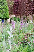 THE LAURENT PERRIER BICENTENARY GARDEN, DESIGNER ARNE MAYNARD, RHS CHELSEA FLOWER SHOW 2012.  DELPHINIUM ASTOLAT GROUP, ONOPORDUM ACANTHIUM, ROSA LOUISE ODIER,