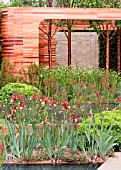 THE HOMEBASE TEENAGE CANCER TRUST GARDEN, RHS CHELSEA FLOWER SHOW 2012 - DESIGNER JOE SWIFT