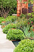 THE HOMEBASE TEENAGE CANCER TRUST GARDEN, RHS CHELSEA FLOWER SHOW 2012 - DESIGNER JOE SWIFT