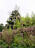 THE WESTLAND MAGICAL GARDEN - DESIGNER DIARMUID GAVIN - RHS CHELSEA FLOWER SHOW 2012