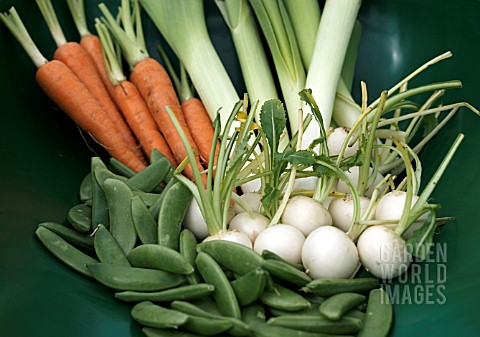 MINI_VEGETABLES_IN_TRUG