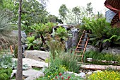 RHS CHELSEA FLOWER SHOW 2013, TRAILFINDERS AUSTRALIAN GARDEN PRESENTED BY FLEMINGS NURSERIES, DESIGNER PHILIP JOHNSON.   BEST IN SHOW