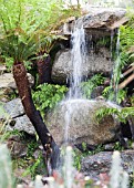 RHS CHELSEA FLOWER SHOW 2013, TRAILFINDERS AUSTRALIAN GARDEN PRESENTED BY FLEMINGS NURSERIES, DESIGNER PHILIP JOHNSON.   BEST IN SHOW