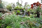 RHS CHELSEA FLOWER SHOW 2013, TRAILFINDERS AUSTRALIAN GARDEN PRESENTED BY FLEMINGS NURSERIES, DESIGNER PHILIP JOHNSON. GOLD MEDAL WINNER. BEST IN SHOW.