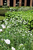 RHS CHELSEA FLOWER SHOW 2013, THE TELEGRAPH GARDEN, DESIGNER CHRISTOPHER BRADLEY-HOLE.