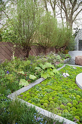 RHS_CHELSEA_FLOWER_2013_BQ_SENTEBALE_GARDEN_DESIGNER_JINNY_BLOM__REMEMBER_THE_CHILDREN