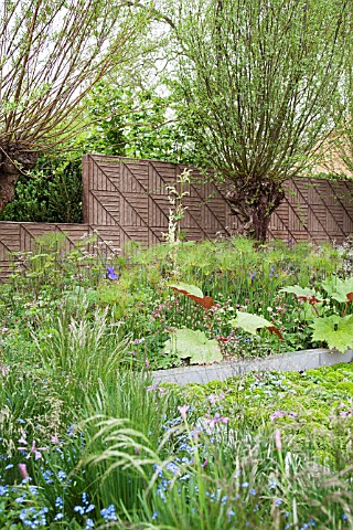 RHS_CHELSEA_FLOWER_2013_BQ_SENTEBALE_GARDEN_DESIGNER_JINNY_BLOM__REMEMBER_THE_CHILDREN