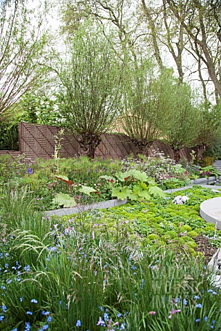 RHS_CHELSEA_FLOWER_2013_BQ_SENTEBALE_GARDEN_DESIGNER_JINNY_BLOM__REMEMBER_THE_CHILDREN