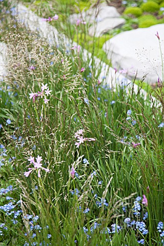 RHS_CHELSEA_FLOWER_2013_BQ_SENTEBALE_GARDEN_DESIGNER_JINNY_BLOM__REMEMBER_THE_CHILDREN