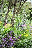 RHS CHELSEA FLOWER SHOW 2013,   THE ARTHRITIS RESEARCH UK GARDEN,  DESIGNER CHRIS BEARDSHAW.