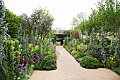 RHS CHELSEA FLOWER SHOW 2013,   THE ARTHRITIS RESEARCH UK GARDEN,  DESIGNER CHRIS BEARDSHAW.