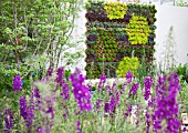 RHS CHELSEA FLOWER SHOW 2013,  RBC BLUE WATER ROOF GARDEN,  DESIGNER NIGEL DUNNETT &   THE LANDSCAPE AGENCY.