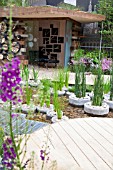 RHS CHELSEA FLOWER SHOW 2013,  RBC BLUE WATER ROOF GARDEN,  DESIGNER NIGEL DUNNETT &   THE LANDSCAPE AGENCY.