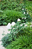 RHS CHELSEA FLOWER SHOW 2013,  THE LAURENT-PERRIER GARDEN,  DESIGNER ULF NORDFJELL.