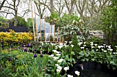 RHS CHELSEA FLOWER SHOW 2013,   EAST VILLAGE GARDEN, DESIGNERS BALSTON AGIUS - MICHAEL BALSTON & MARIE-LOUISE AGIUS