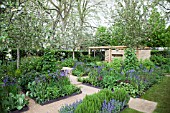 RHS CHELSEA FLOWER SHOW 2013, THE HOMEBASE GARDEN, SOWING THE SEEDS OF CHANGE IN ASSOCIATION WITH THE ALZHEIMERS SOCIETY, DESIGNER ADAM FROST.