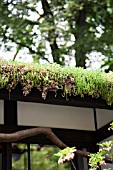 RHS CHELSEA FLOWER SHOW 2013, AN ALCOVE (TOKONOMA GARDEN), ISHIHARA KAZUYUKI DESIGN LABRATORY. JAPANESE TATAMI ROOM.