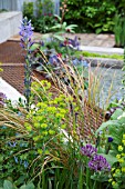 RHS CHELSEA FLOWER SHOW 2013,   THE WASTELAND GARDEN, DESIGNER KATE GOULD.  GOLD MEDAL WINNER