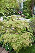 RHS CHELSEA FLOWER SHOW 2013,   THE WASTELAND GARDEN, DESIGNER KATE GOULD.  GOLD MEDAL WINNER