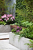 RHS CHELSEA FLOWER SHOW 2013,   THE WASTELAND GARDEN, DESIGNER KATE GOULD.  GOLD MEDAL WINNER