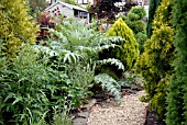 GRAVEL PATH WITH HERBACEOUS AND CONIFER BORDER