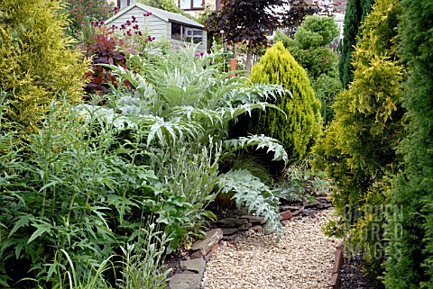 GRAVEL_PATH_WITH_HERBACEOUS_AND_CONIFER_BORDER