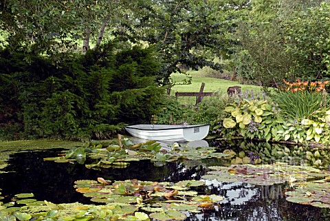 ROWING_BOAT_ON_POND_AT_CILGWYN_LODGE_CARMARTHENSHIRE