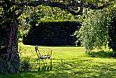 OLD GARDEN SEAT IN DAPPLED LIGHT UNDER TREE