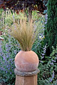 STIPA TENUISSIMA IN ROUND TERRACOTTA POT WITH NEPETA SIX HILLS GIANT