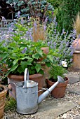 OLD WATERING CAN WITH COLLECTION OF TERRACOTTA POTS