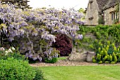 ROUND ARCH IN STONE WALL AT BIDDESTONE MANOR, WITH WISTERIA AND ACER PALMATUM