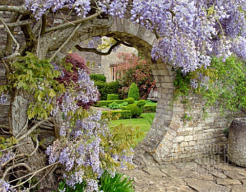 ROUND_ARCH_IN_STONE_WALL_AT_BIDDESTONE_MANOR_WITH_WISTERIA_AND_BOX_TOPIARY