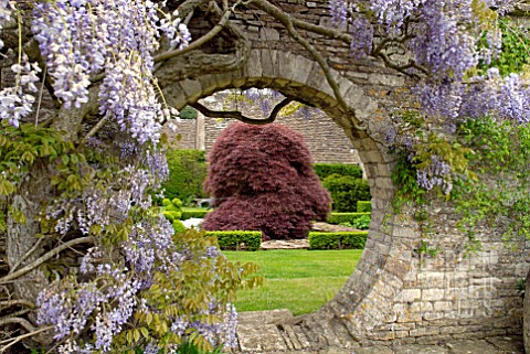 ROUND_ARCH_IN_STONE_WALL_AT_BIDDESTONE_MANOR_WITH_WISTERIA_AND_ACER_PALMATUM
