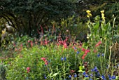 AUTUMN BORDER AT CLOVELLY COURT, DEVON