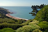 SANTOLINA ROSMARINIFOLIA PRIMROSE GEM, LONICERA NITIDA AT CLIFF HOUSE, DORSET WITH VIEW OF RINGSTEAD BAY