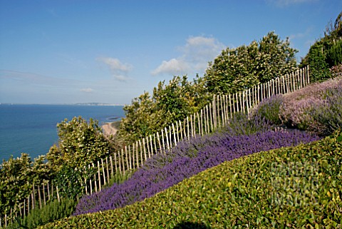 SEA_VIEW_WITH_VARIOUS_LAVENDERS_AT_CLIFF_HOUSE_DORSET