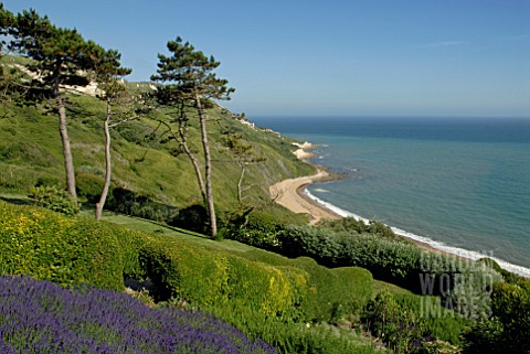 SEA_VIEW_WITH_LAVANDULA_AND_PINUS_SYLVESTRIS_AT_CLIFF_HOUSE_DORSET