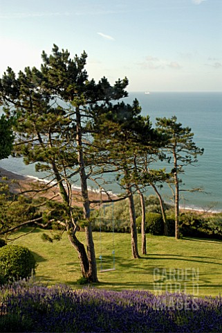 SEA_VIEW_WITH_LAVANDULA_AND_PINUS_SYLVESTRIS_AT_CLIFF_HOUSE_DORSET