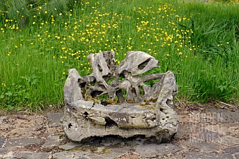 ARMCHAIR_MADE_FROM_OLD_TREE_STUMP_AT_BIDDESTONE_MANOR_WILTS