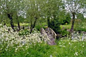 ANTHRISCUS SYLVESTRIS AND WOODEN BRIDGE TO ISLAND IN LAKE AT BIDDESTONE MANOR, WILTS