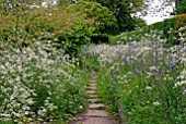 PATH THROUGH MEADOW OF ANTHRISCUS SYLVESTRIS AND CAMASSIA AT BIDDESTONE MANOR, WILTS