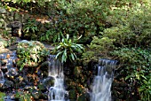 WATERFALL AT MINTERNE IN DORSET