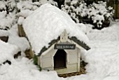 DOG KENNEL COVERED IN SNOW