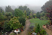 MISTY AUTUMNAL RURAL GARDEN VIEW