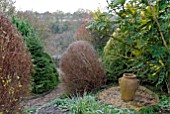 SHRUBS AND TERRACOTTA POT IN EARLY WINTER RURAL GARDEN