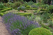 LAVENDER, BOX, GRASSES AND ERIGERON AT COTHAY MANOR, SOMERSET