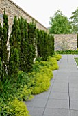 GARDEN WALL WITH TAXUS BACCATA AND ALCHEMILLA MOLLIS