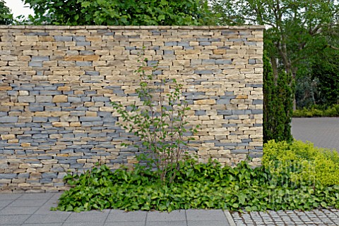 MODERN_DRY_STONE_WALL_WITH_HEDERA_AND_ALCHEMILLA_MOLLIS